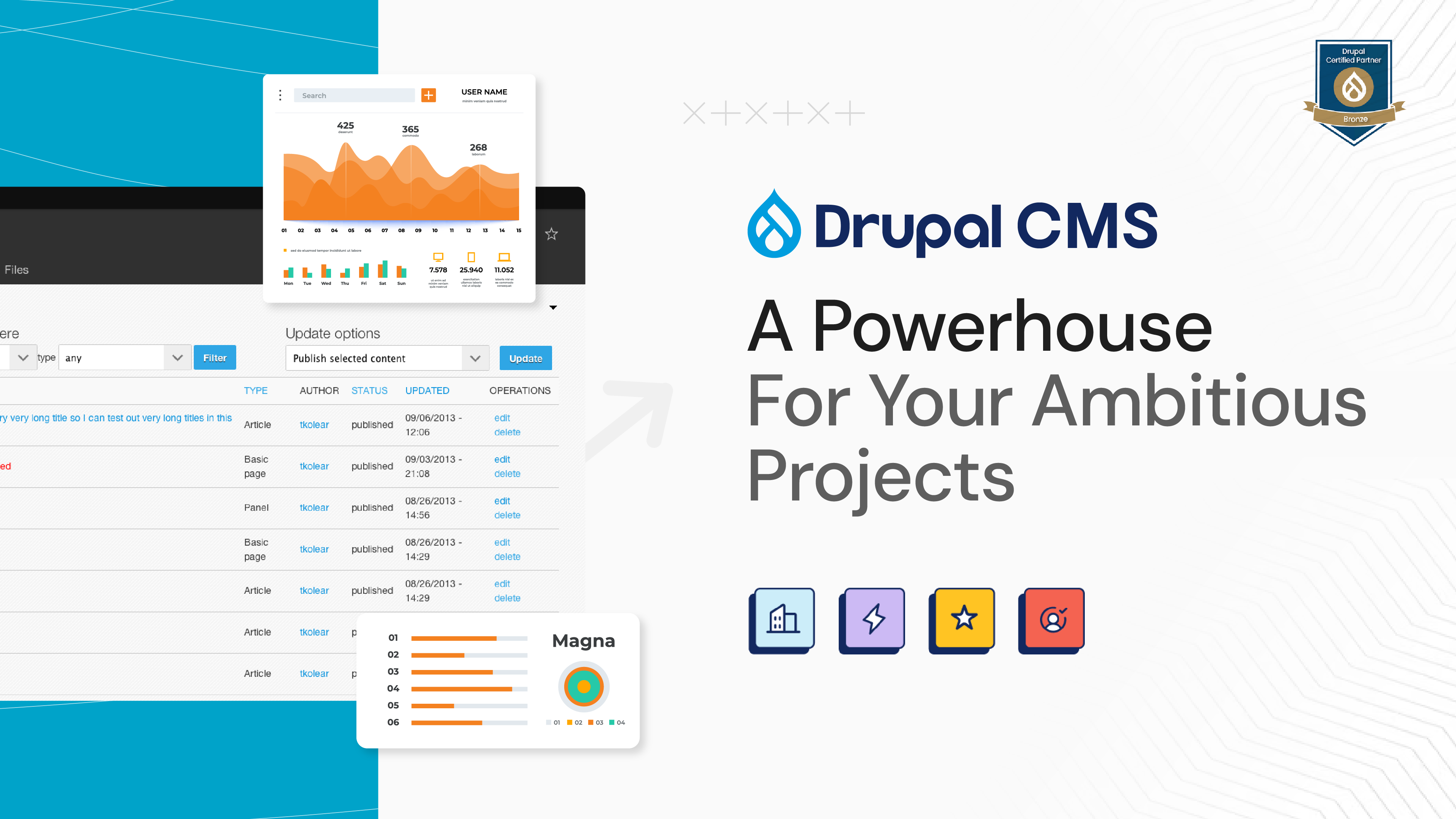 Drupal CMS - A Powerhouse For Your Ambitious Projects